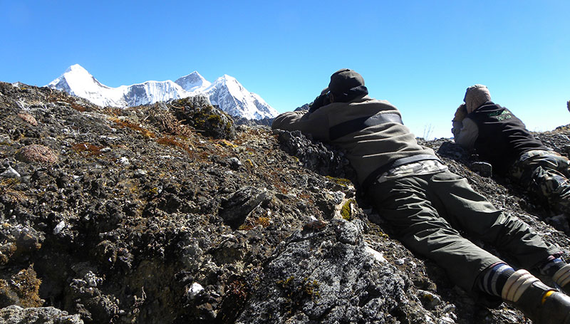 Himalayan Safaris Pvt Ltd.